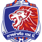 泰港队标